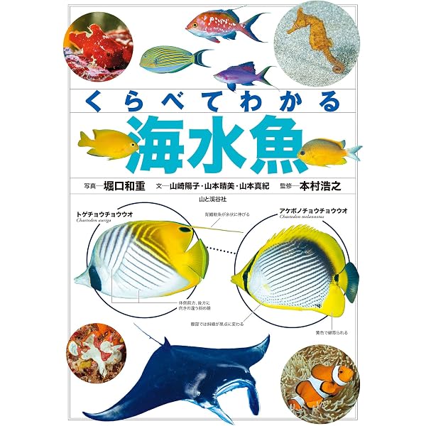 日本の海水魚 (山渓カラー名鑑) | 大方 洋二, 小林 安雅, 矢野 維幾